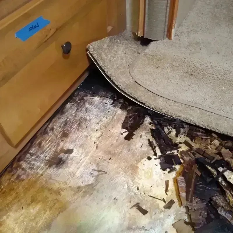 Best Wood Floor Water Damage Service in Williamsburg, FL